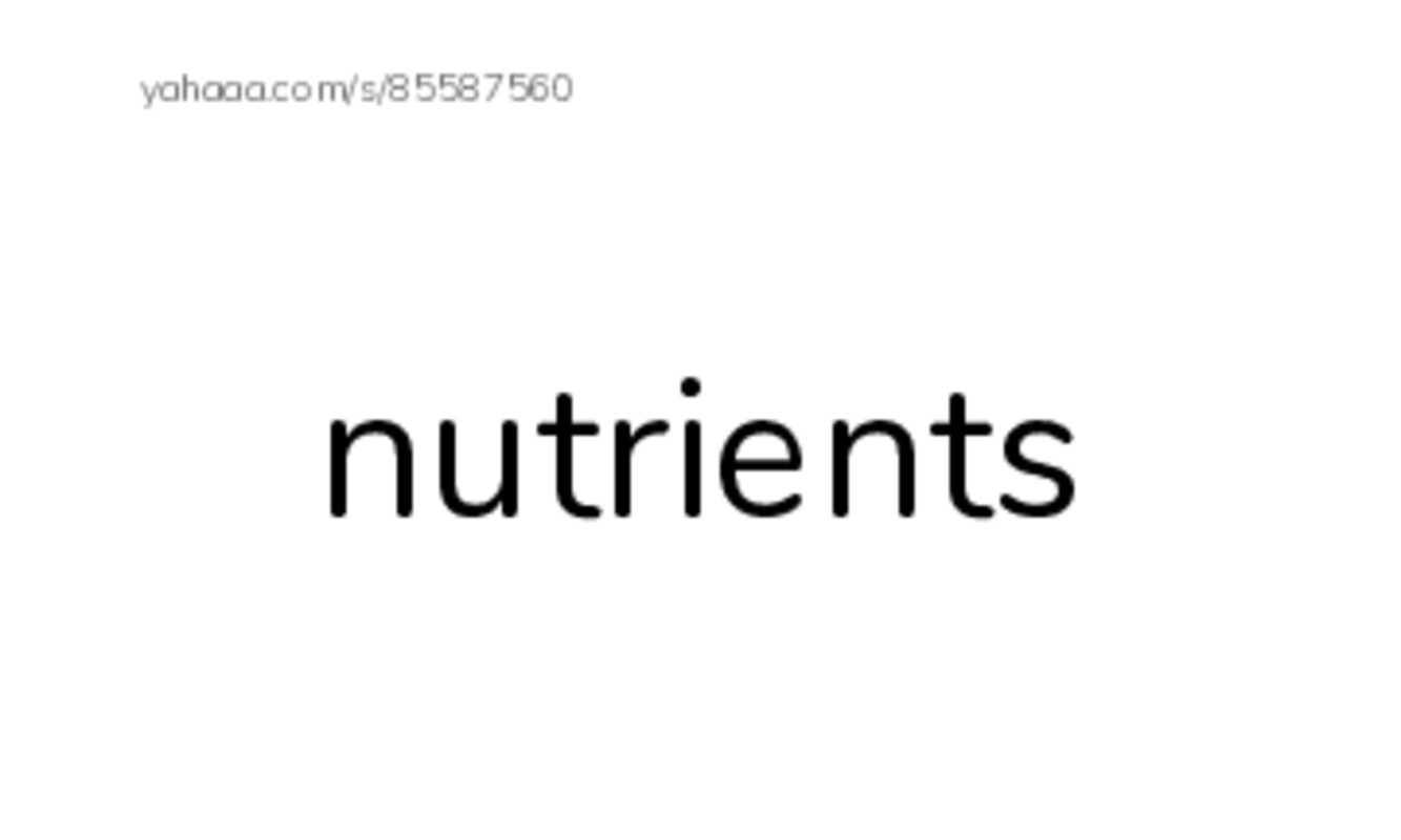 RAZ Vocabulary V: Floods-2 PDF index cards with images