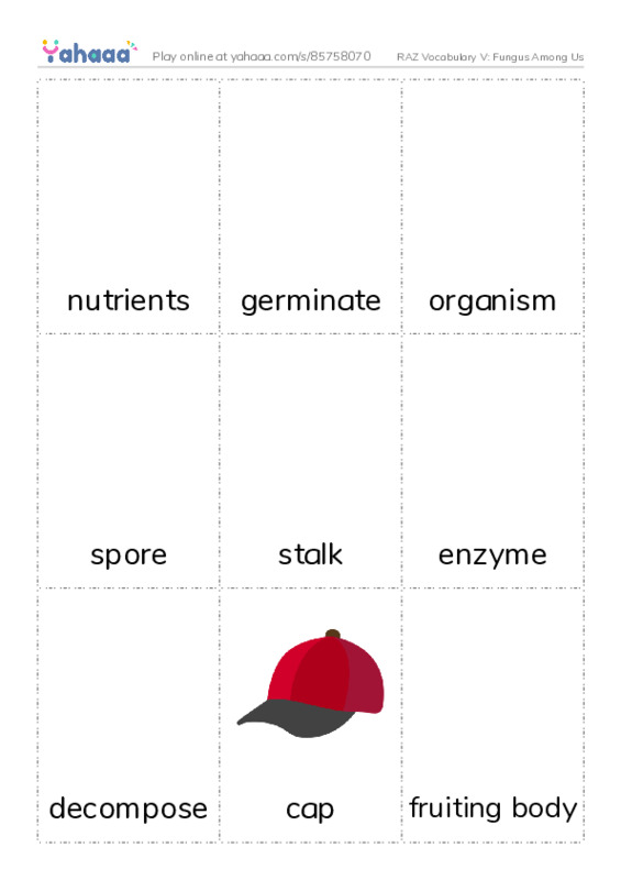 RAZ Vocabulary V: Fungus Among Us PDF flaschards with images