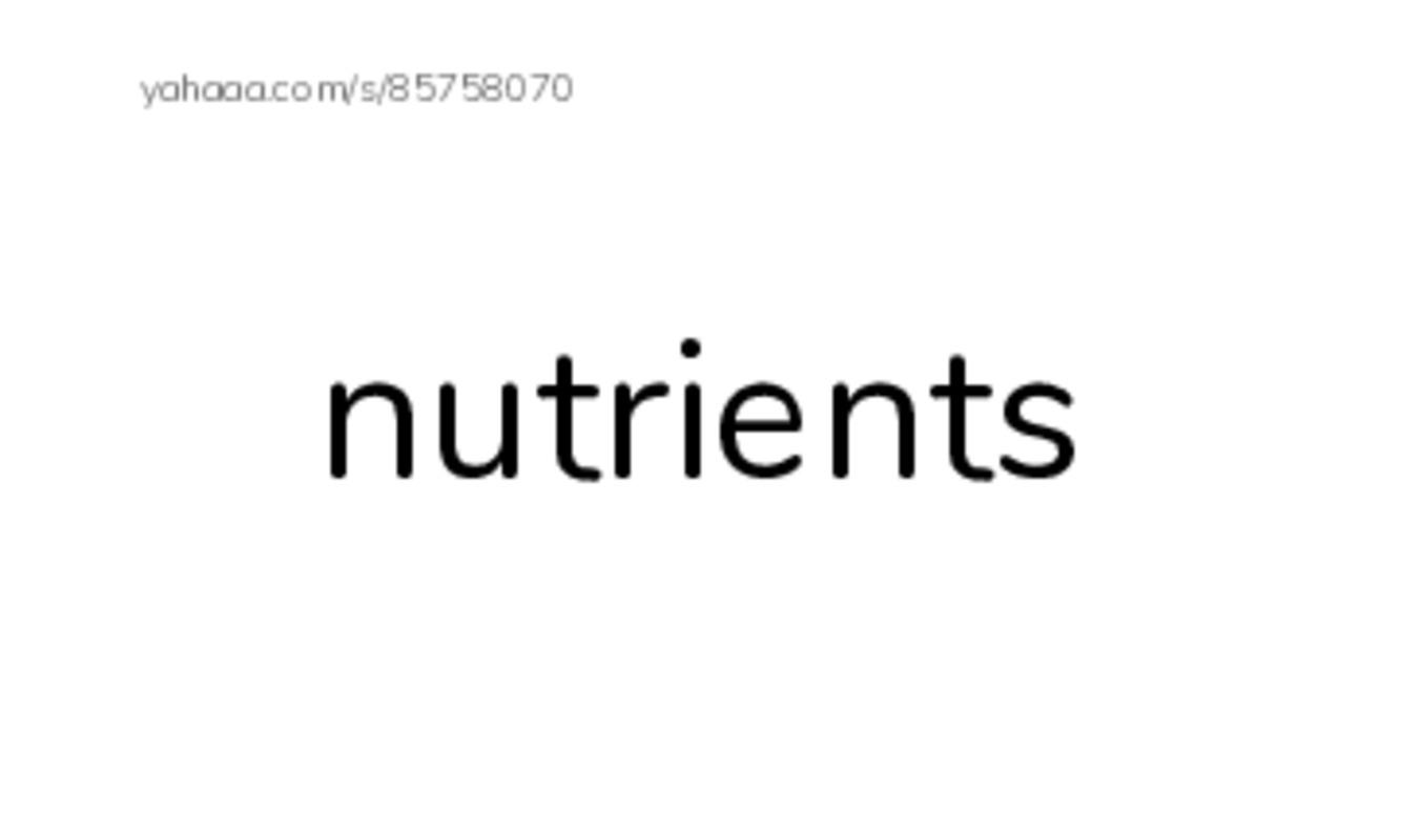 RAZ Vocabulary V: Fungus Among Us PDF index cards word only
