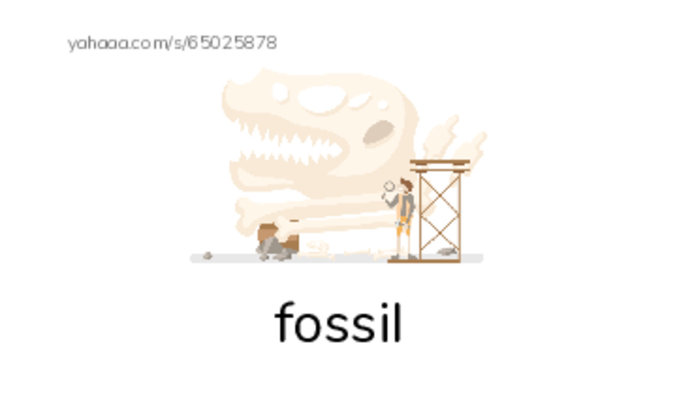 RAZ Vocabulary V: Giant Insects PDF index cards with images