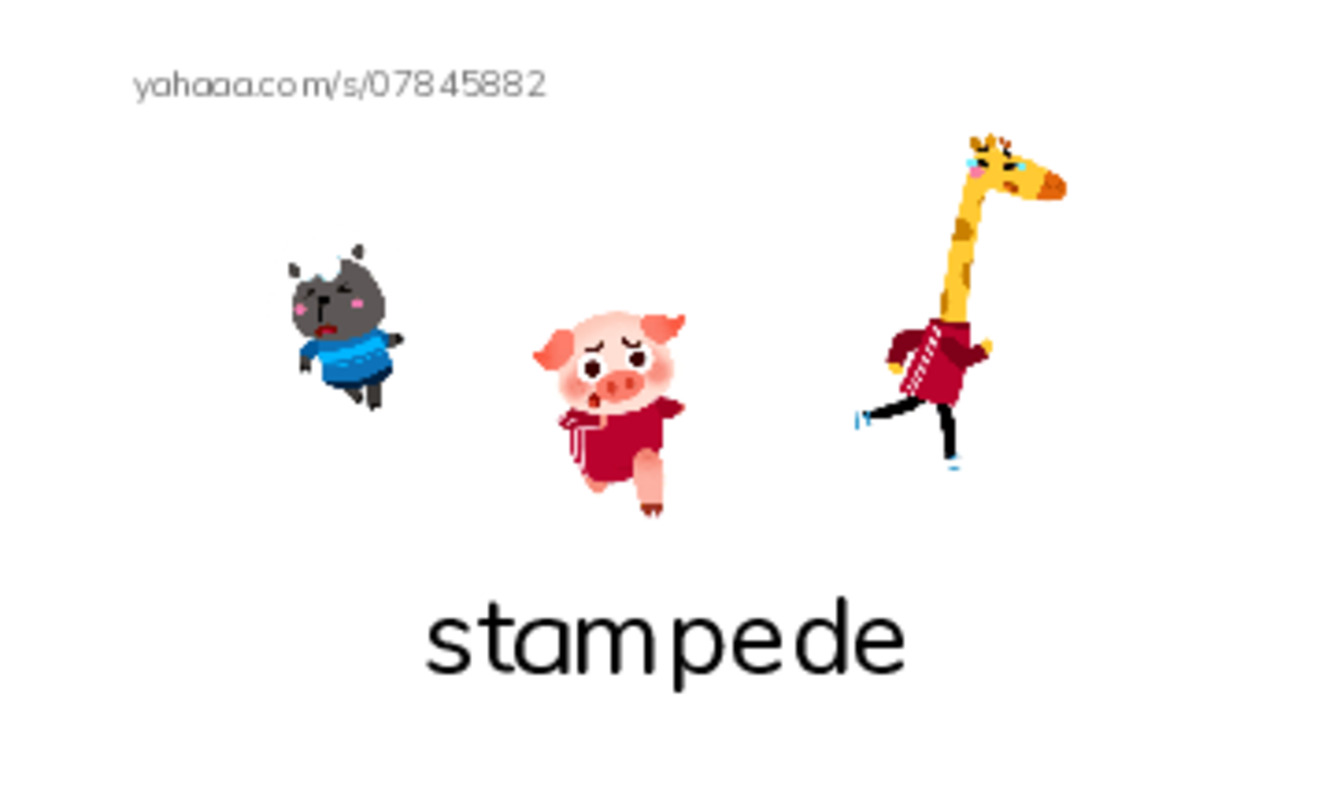 RAZ Vocabulary V: The Calgary Stampede2 PDF index cards with images