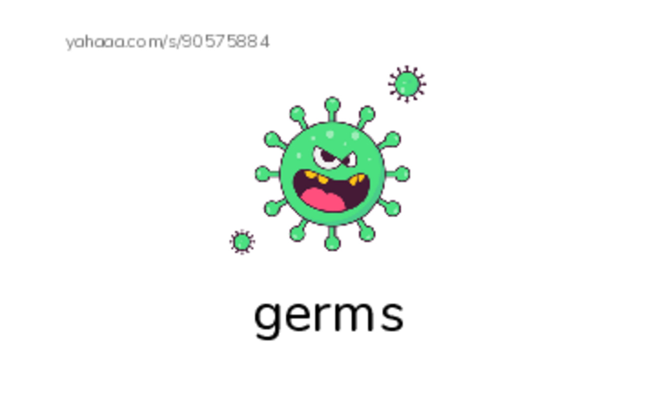 RAZ Vocabulary W: InFLUenza2 PDF index cards with images