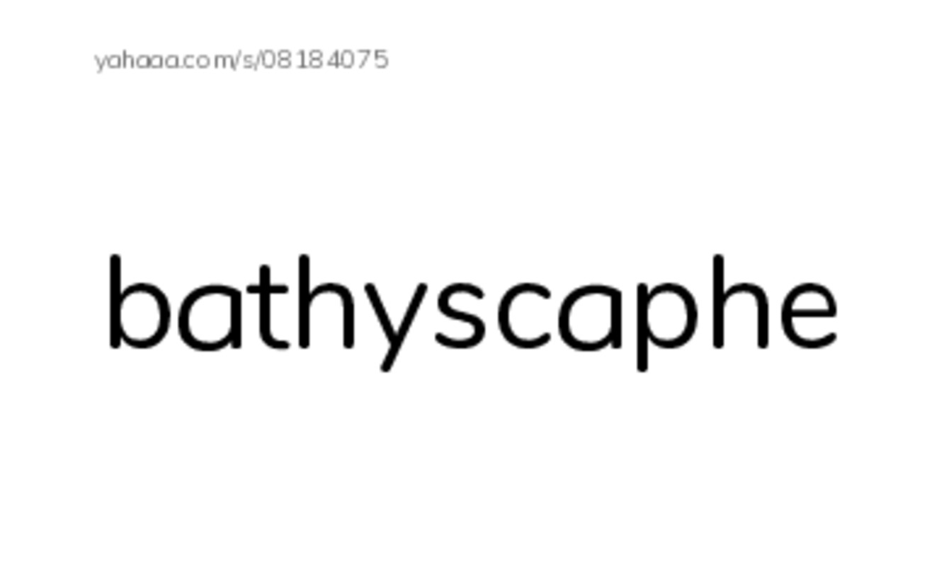RAZ Vocabulary W: Ocean Quiz2 PDF index cards with images