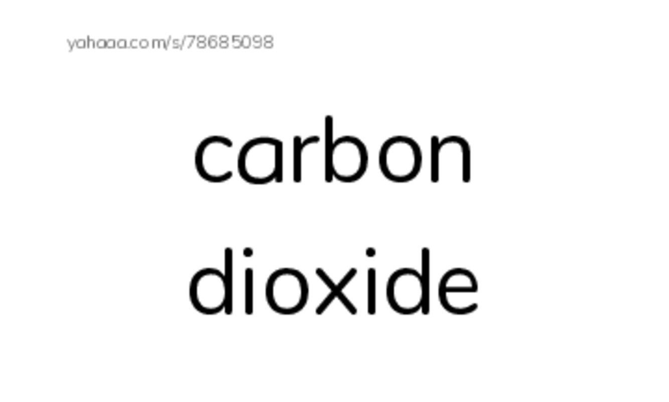 RAZ Vocabulary W: The University of Arizona College of Science Biosphere 22 PDF index cards with images