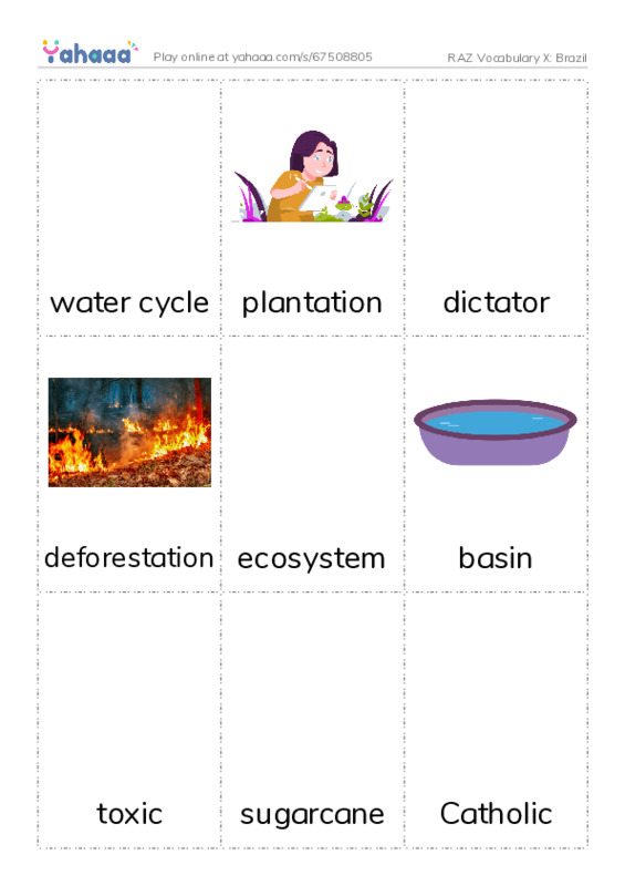 RAZ Vocabulary X: Brazil PDF flaschards with images