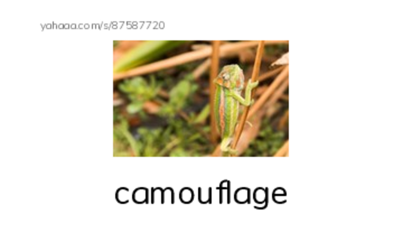 RAZ Vocabulary X: Talking to Each Other PDF index cards with images