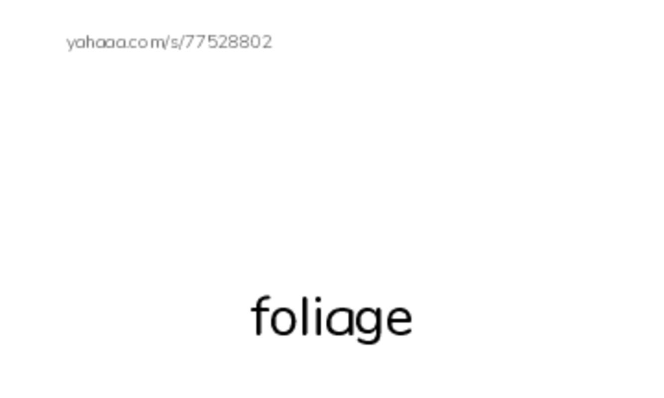 RAZ Vocabulary X: The Amazing Amazon PDF index cards with images