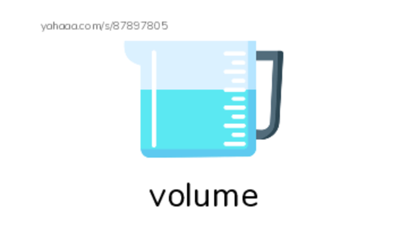 RAZ Vocabulary X: The Amazing Amazon2 PDF index cards with images