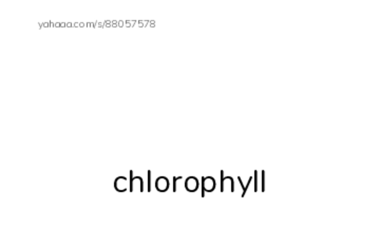 RAZ Vocabulary X: The Amazing Undersea Food Web2 PDF index cards with images