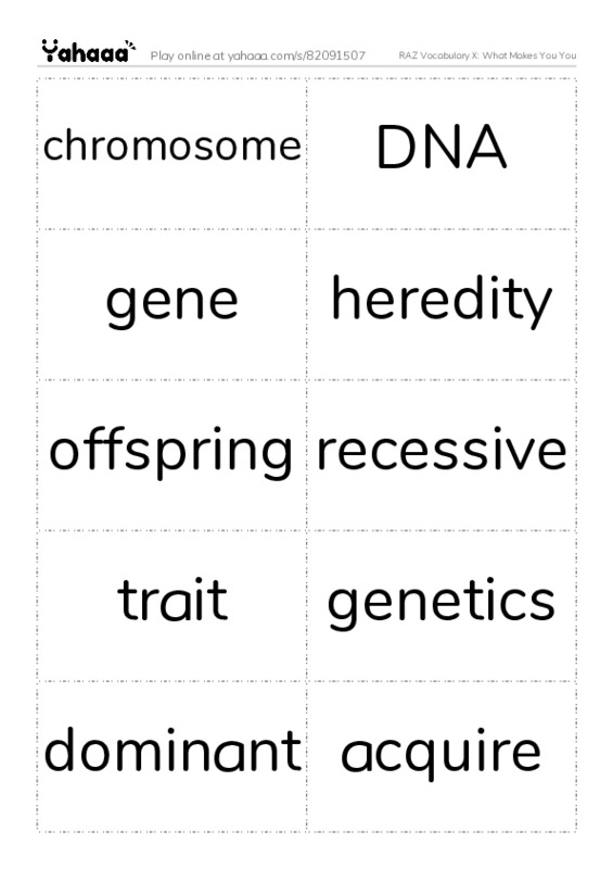 RAZ Vocabulary X: What Makes You You PDF two columns flashcards