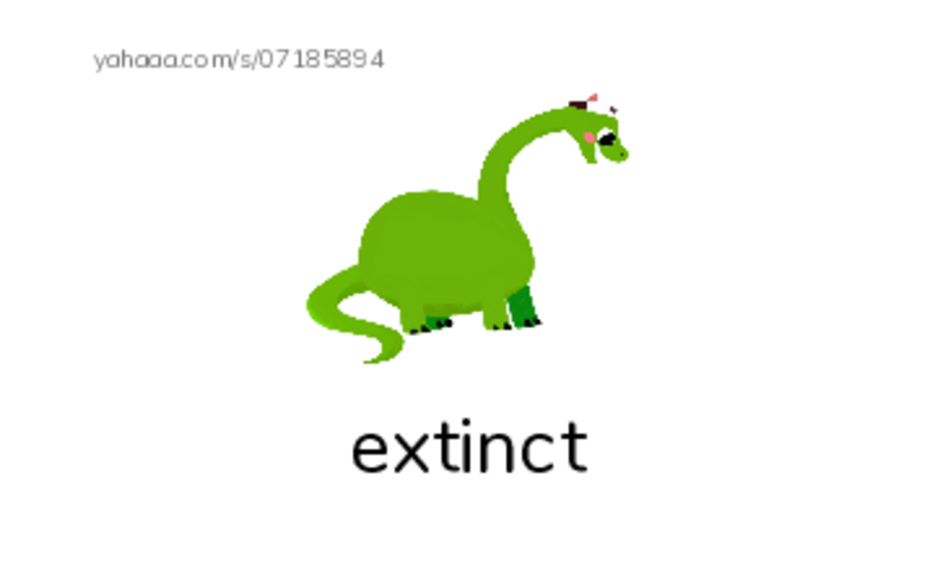 RAZ Vocabulary X: Zoos Pro or Con PDF index cards with images