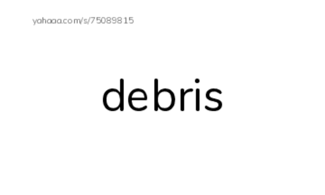 RAZ Vocabulary Y: 911 A Dark Day PDF index cards word only
