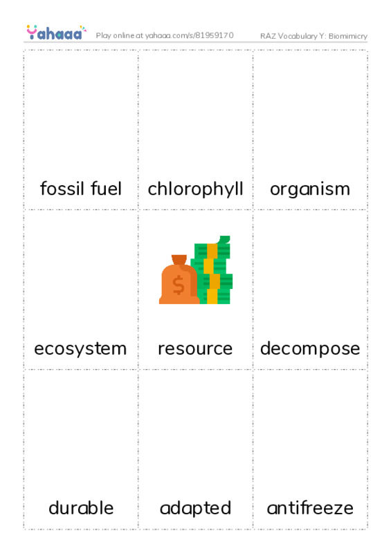 RAZ Vocabulary Y: Biomimicry PDF flaschards with images