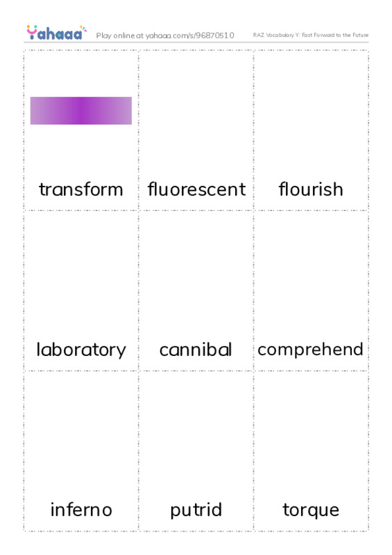 RAZ Vocabulary Y: Fast Forward to the Future PDF flaschards with images