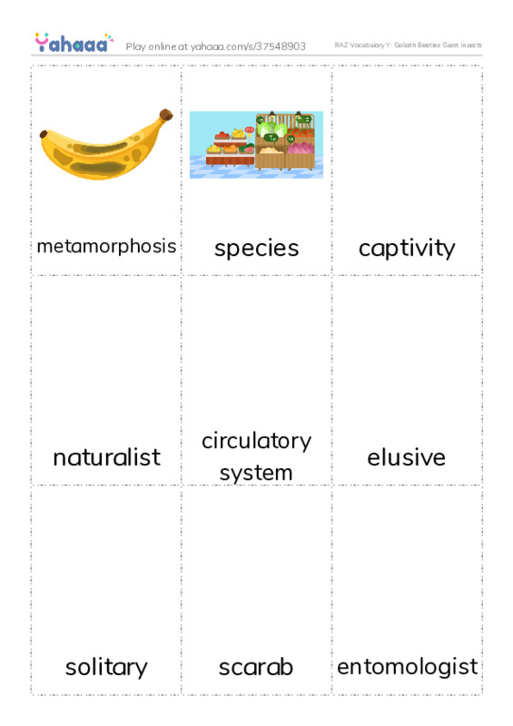 RAZ Vocabulary Y: Goliath Beetles Giant Insects PDF flaschards with images