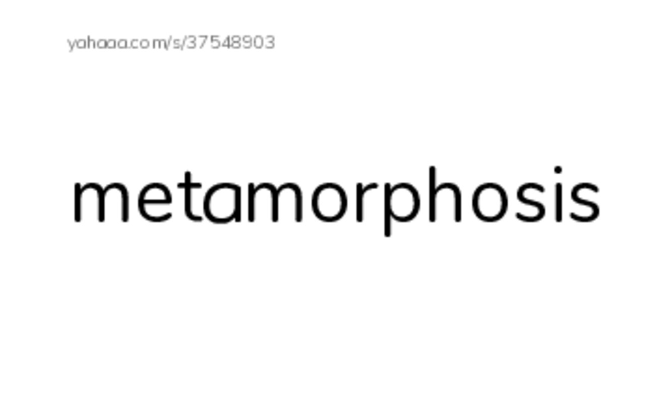 RAZ Vocabulary Y: Goliath Beetles Giant Insects PDF index cards word only
