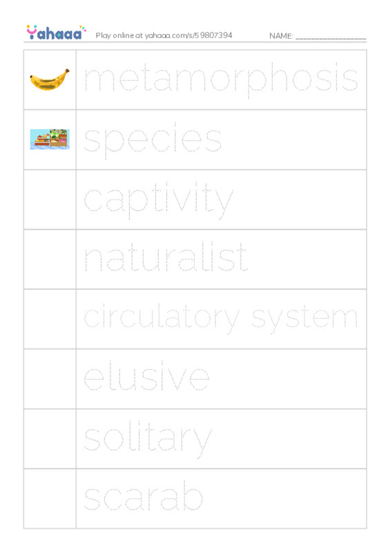 RAZ Vocabulary Y: Goliath Beetles Giant Insects PDF one column image words