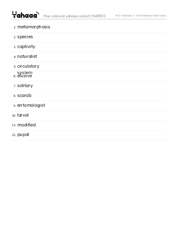 RAZ Vocabulary Y: Goliath Beetles Giant Insects PDF words glossary