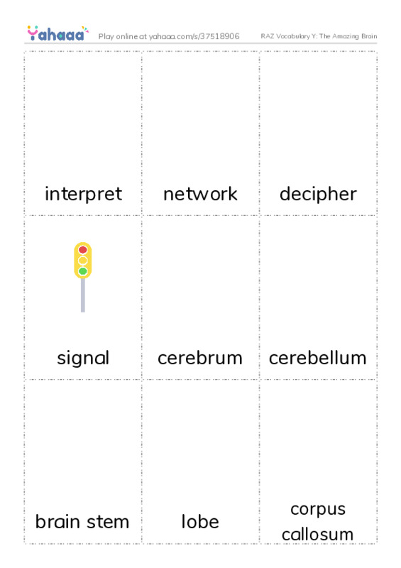 RAZ Vocabulary Y: The Amazing Brain PDF flaschards with images
