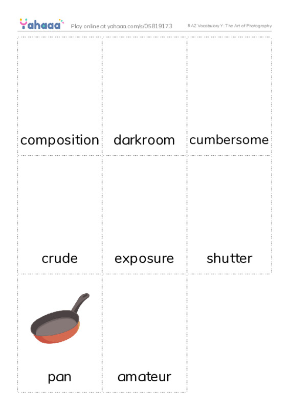 RAZ Vocabulary Y: The Art of Photography PDF flaschards with images