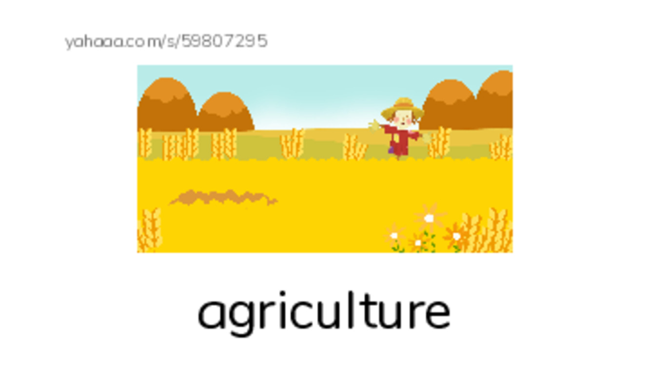RAZ Vocabulary Z: China PDF index cards with images
