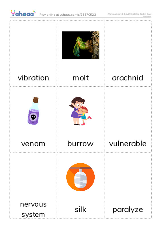 RAZ Vocabulary Z: Goliath BirdEating Spiders Giant Arachnids PDF flaschards with images