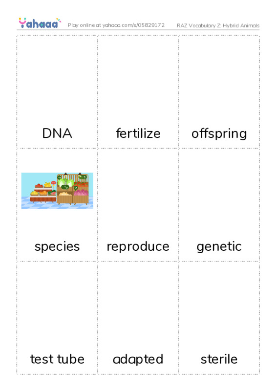 RAZ Vocabulary Z: Hybrid Animals PDF flaschards with images