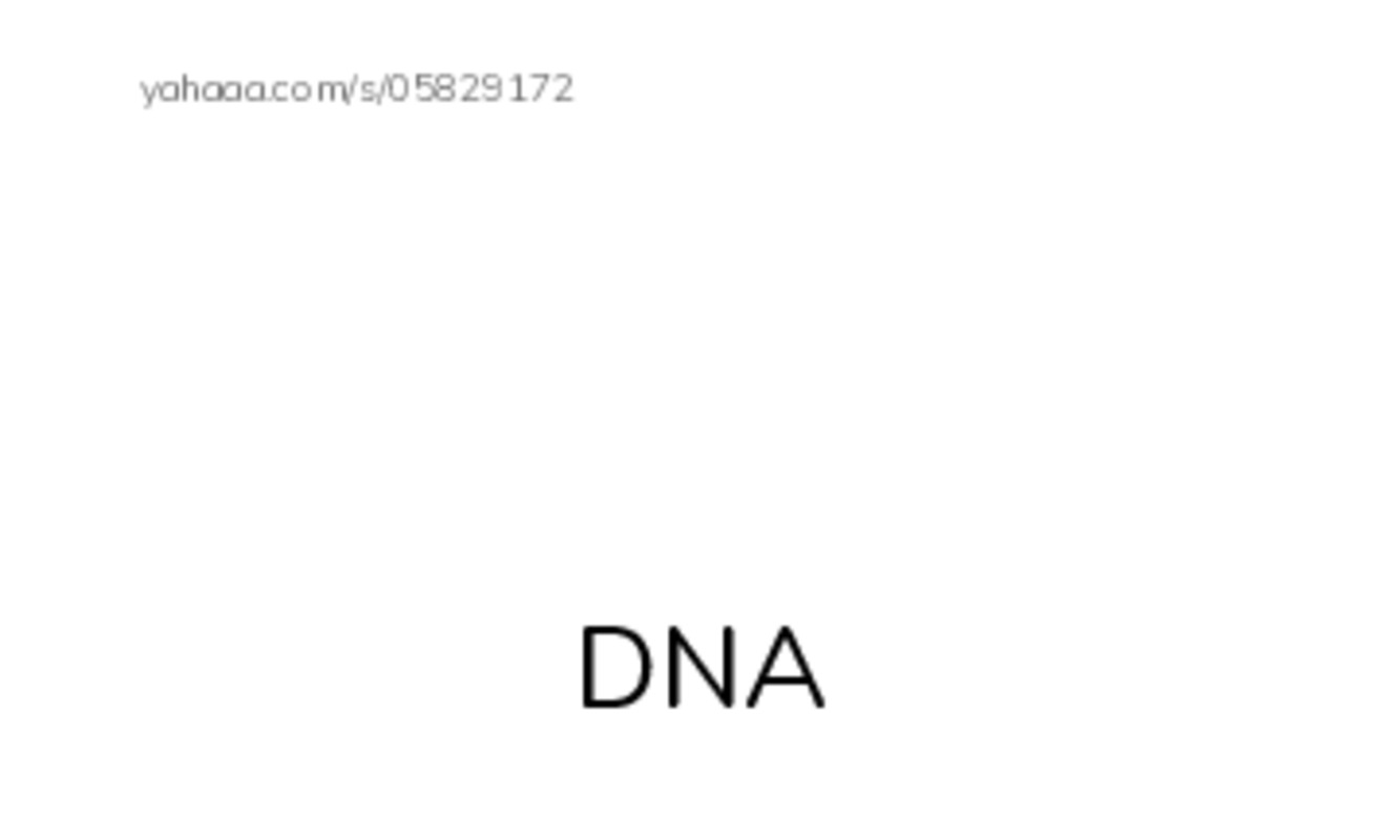 RAZ Vocabulary Z: Hybrid Animals PDF index cards with images