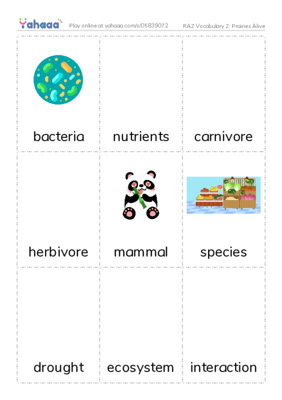 RAZ Vocabulary Z: Prairies Alive PDF flaschards with images