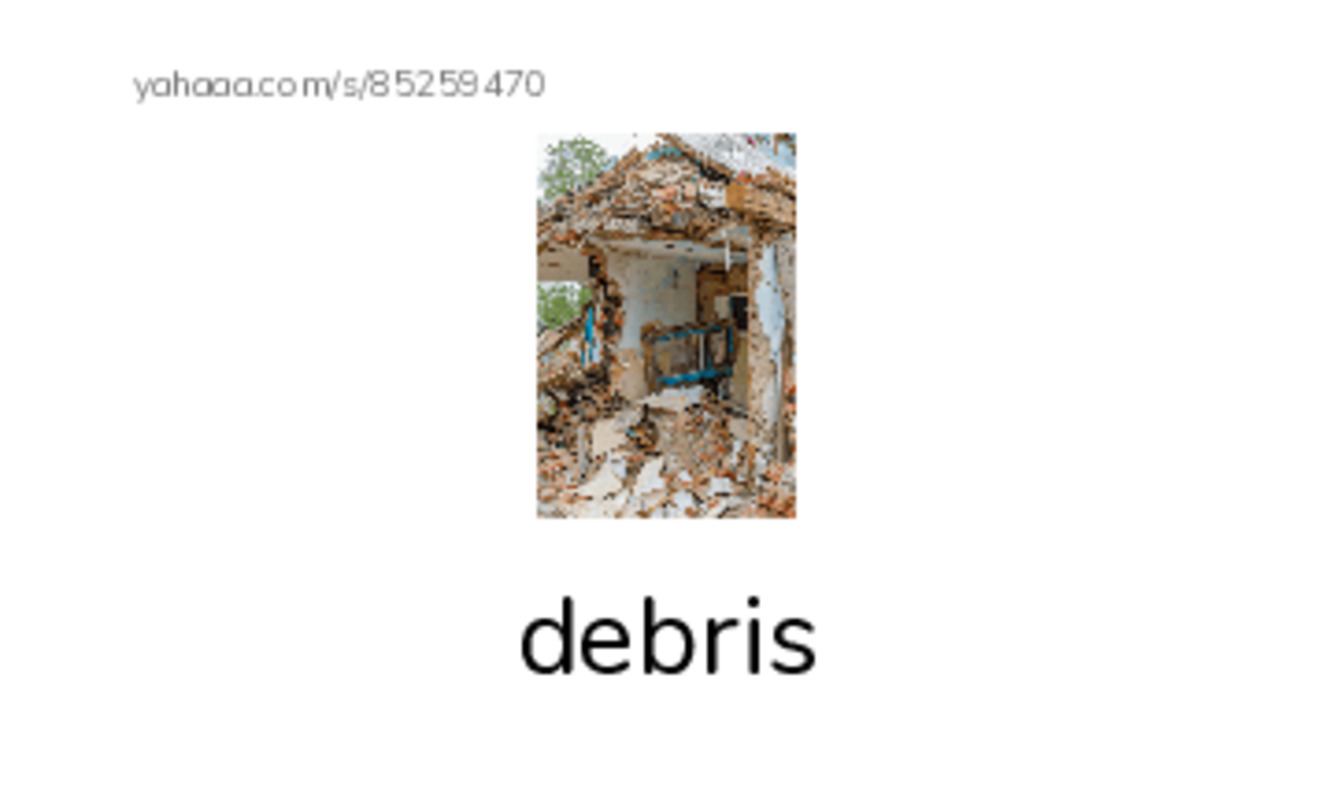 RAZ Vocabulary Z: The Queens Loss Part II PDF index cards with images