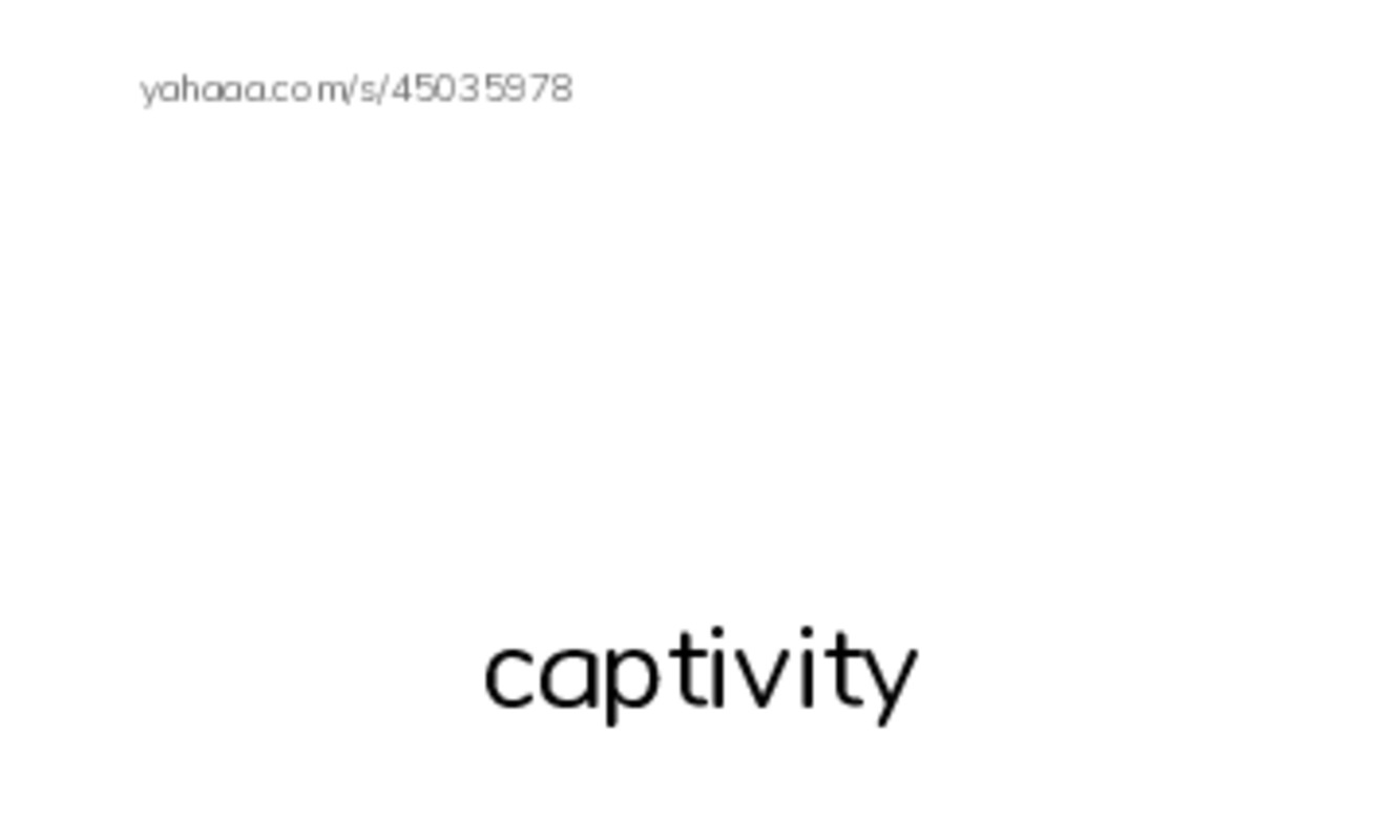 RAZ Vocabulary Z: Zoos Through the Ages PDF index cards with images