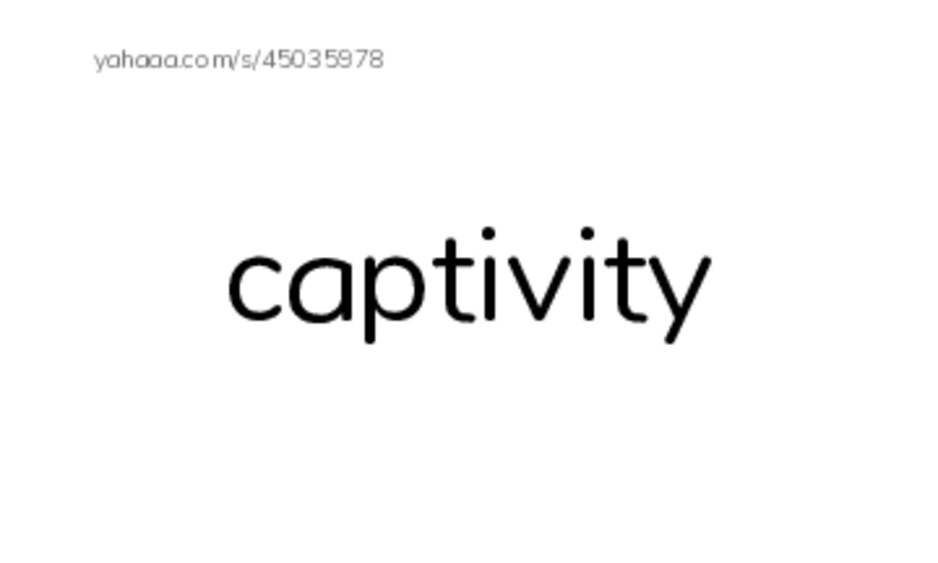 RAZ Vocabulary Z: Zoos Through the Ages PDF index cards word only