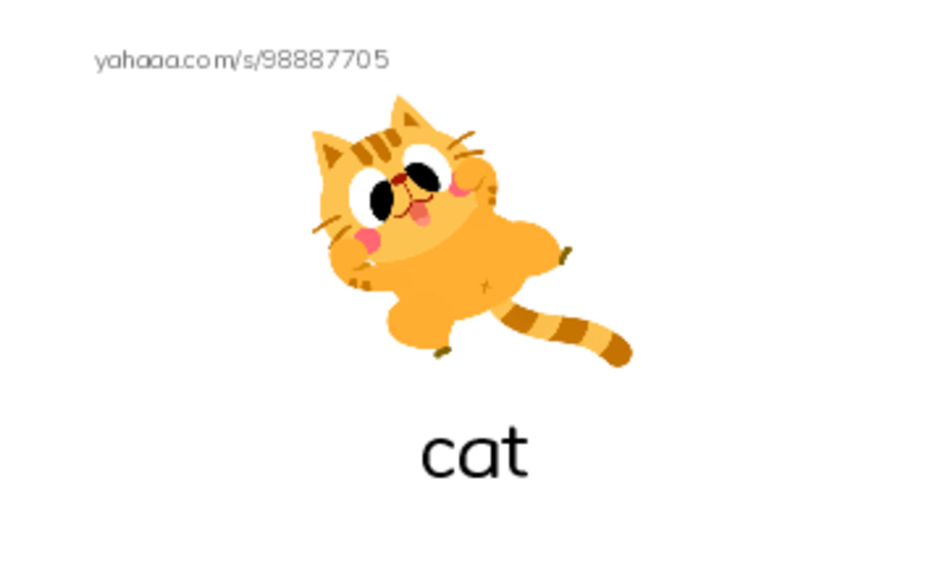 Let's GO 1: Unit 8 Animals PDF index cards with images