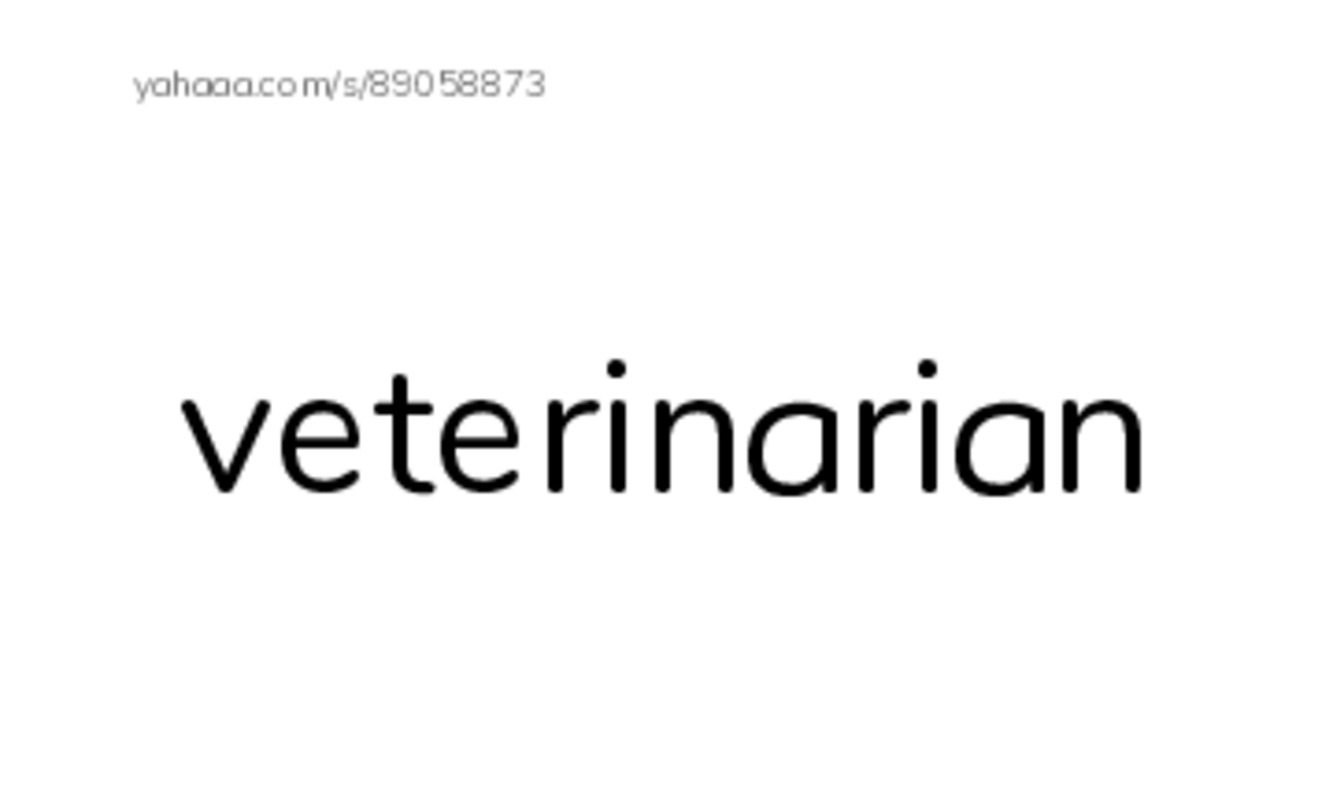 Let's GO 3: Unit 4 Occupations PDF index cards with images