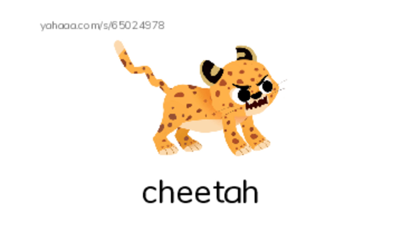 Let's GO 5: Unit 2 Animals PDF index cards with images