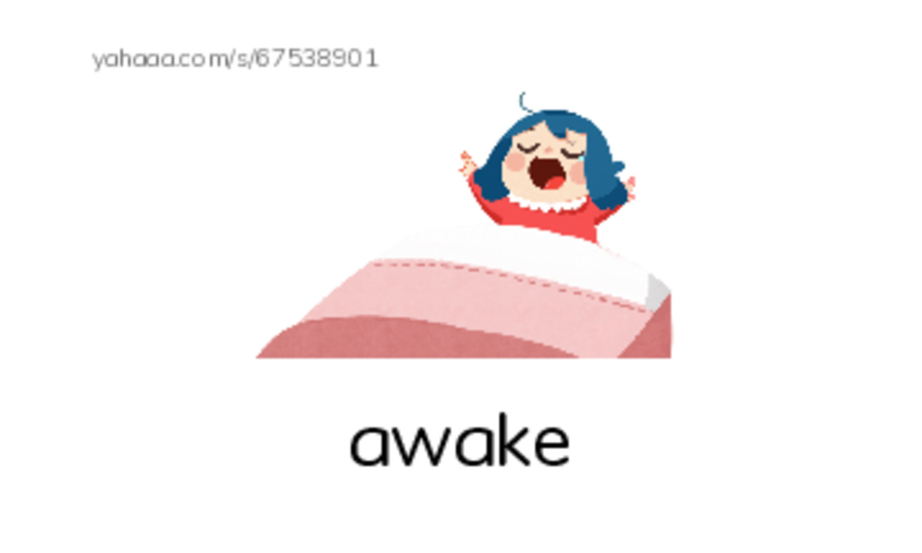 Word Families: ake PDF index cards with images