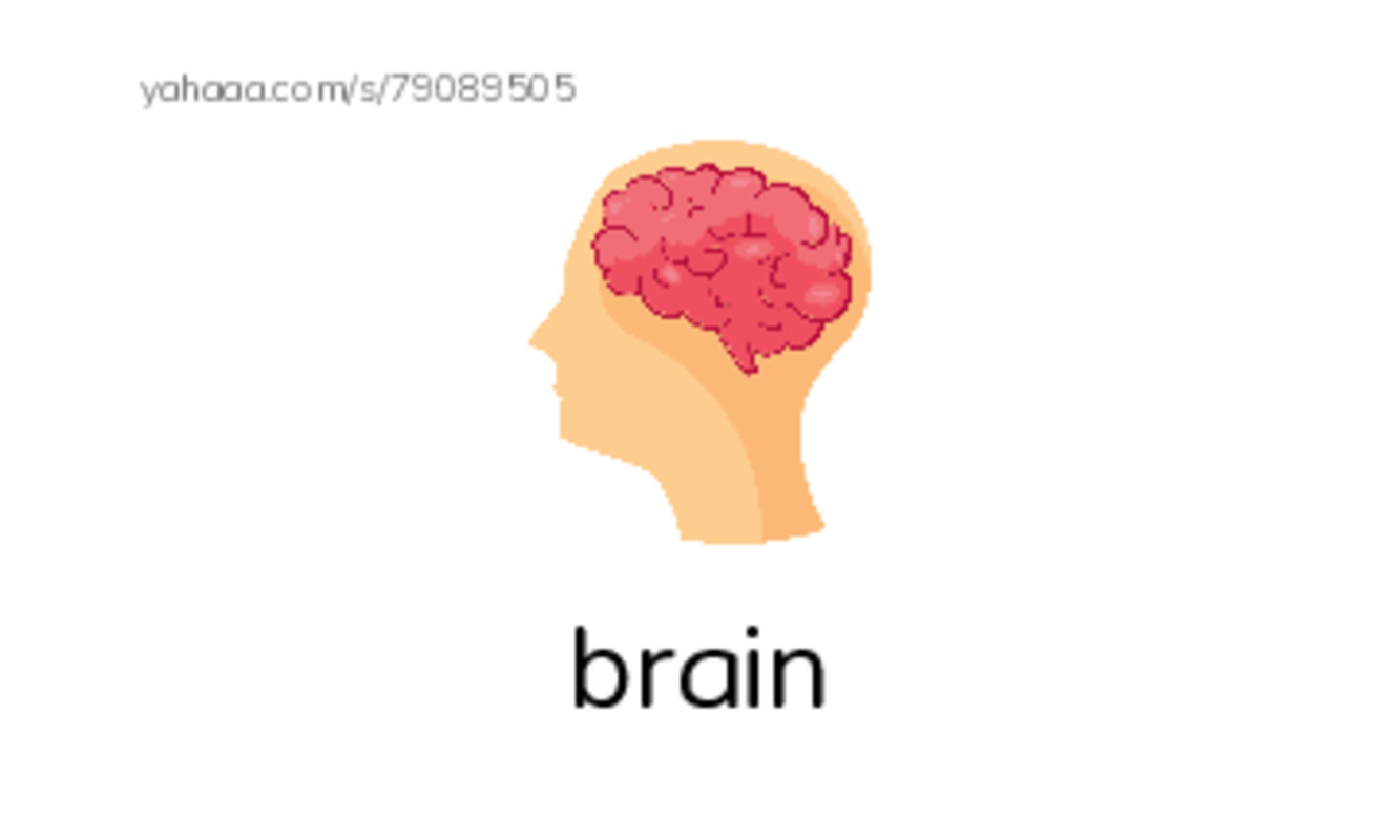 Word Families: ain PDF index cards with images