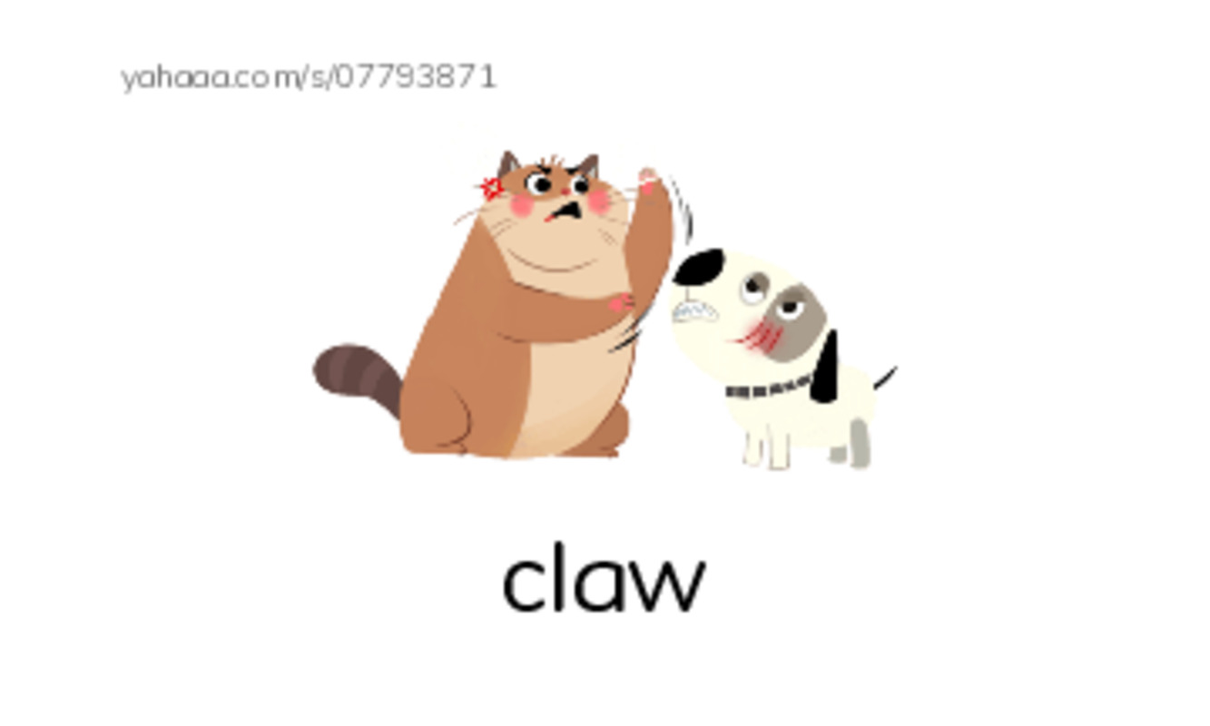 Word Families: aw PDF index cards with images