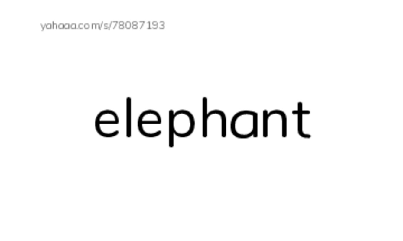 Wild Animals PDF index cards word only