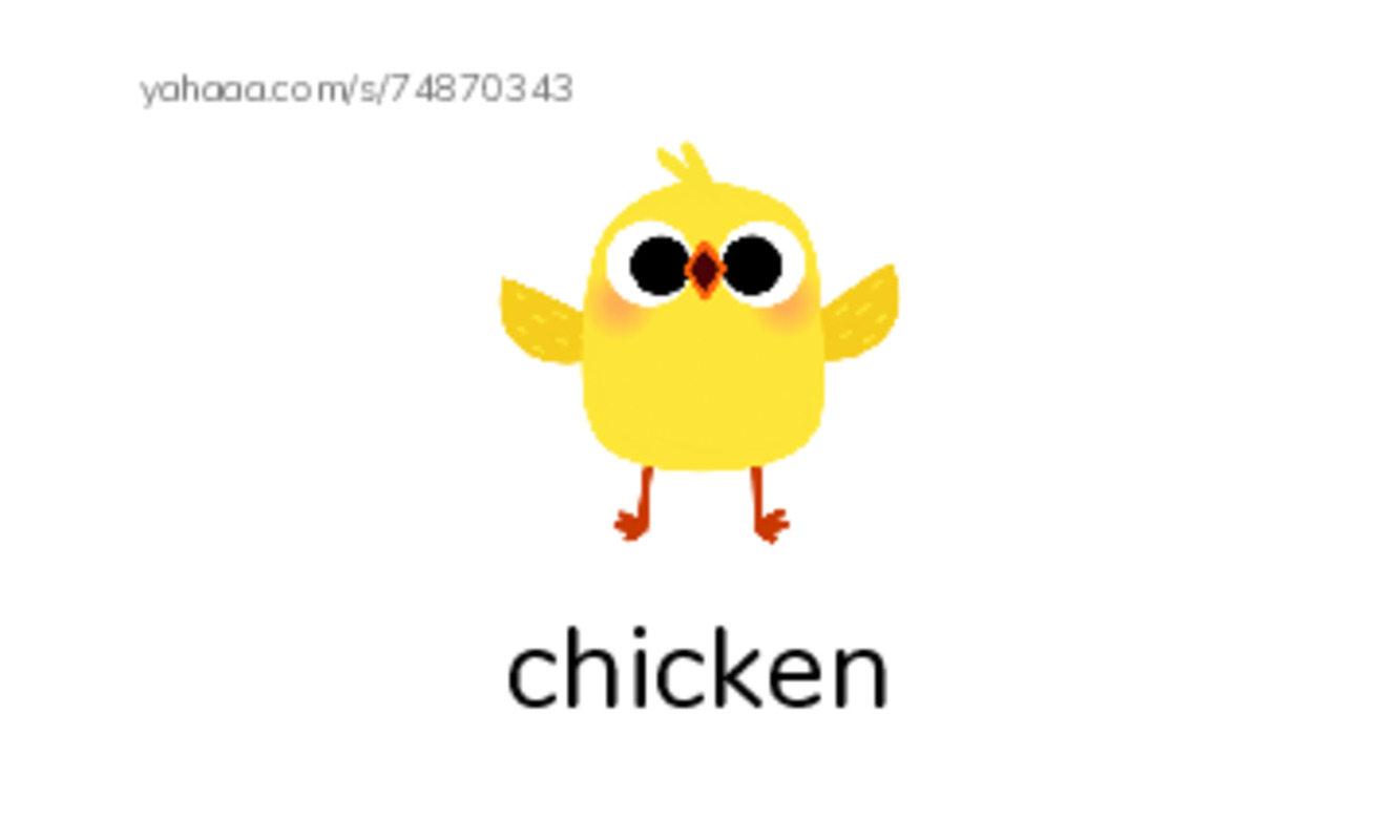 FOOD and DRINKS part 1 PDF index cards with images