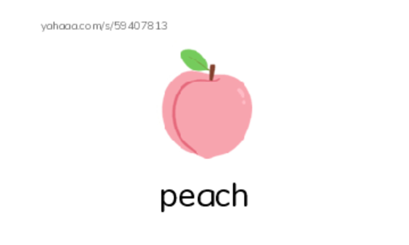 Letter P PDF index cards with images