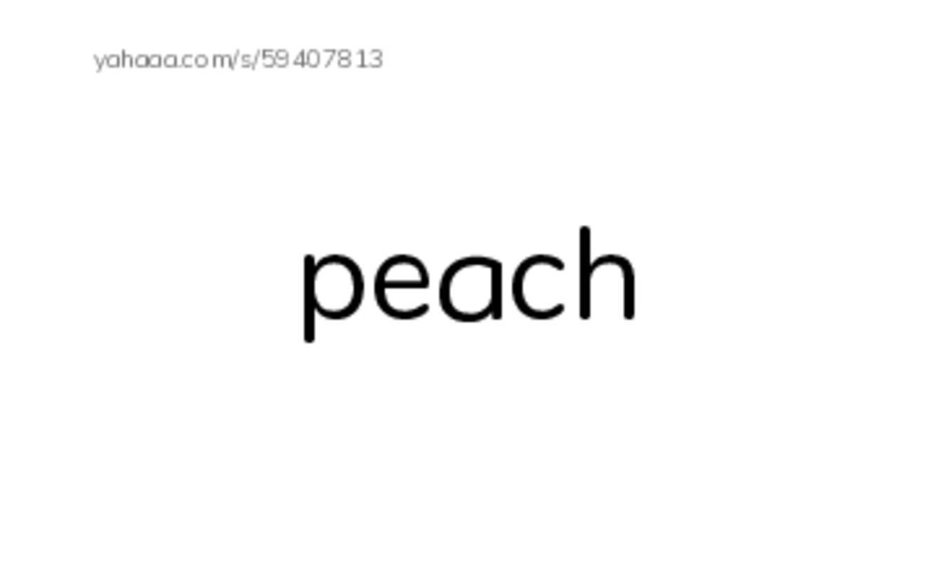 Letter P PDF index cards word only