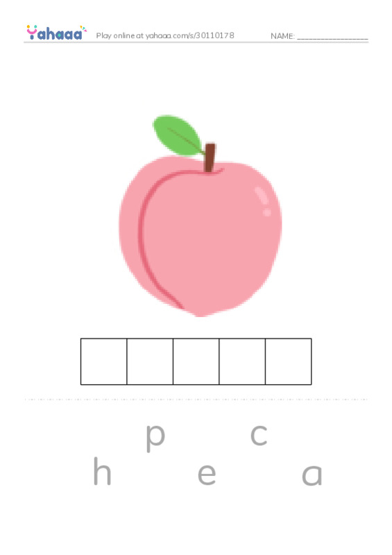 Letter P PDF word puzzles worksheet