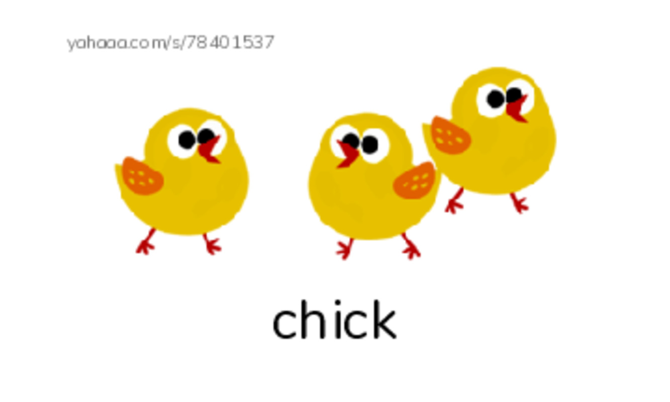 Baby animals PDF index cards with images