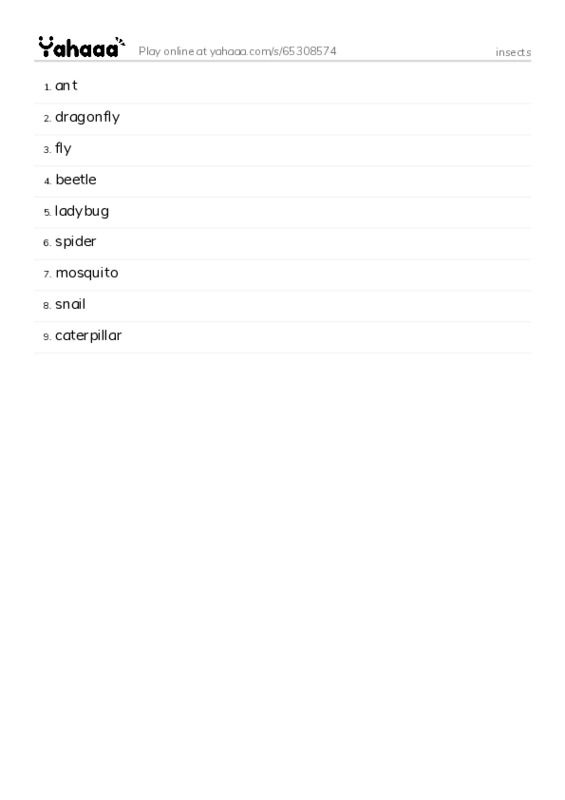 insects PDF words glossary