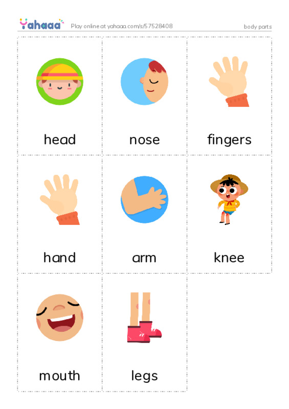 body parts PDF flaschards with images