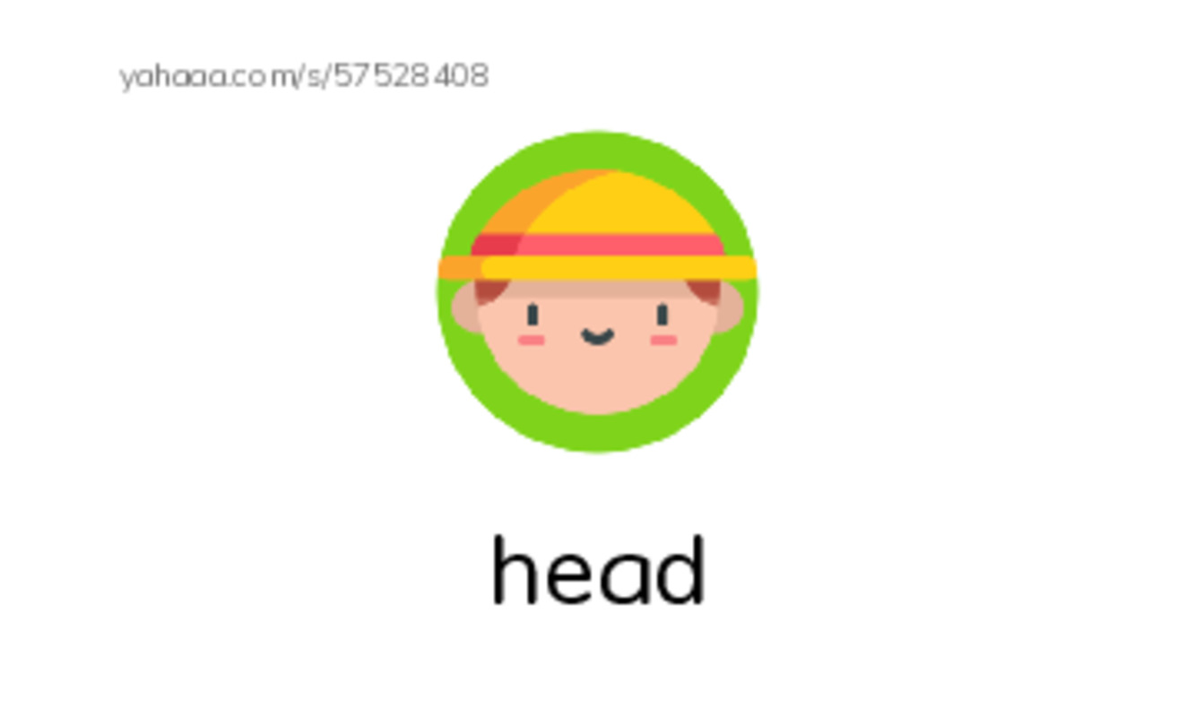 body parts PDF index cards with images