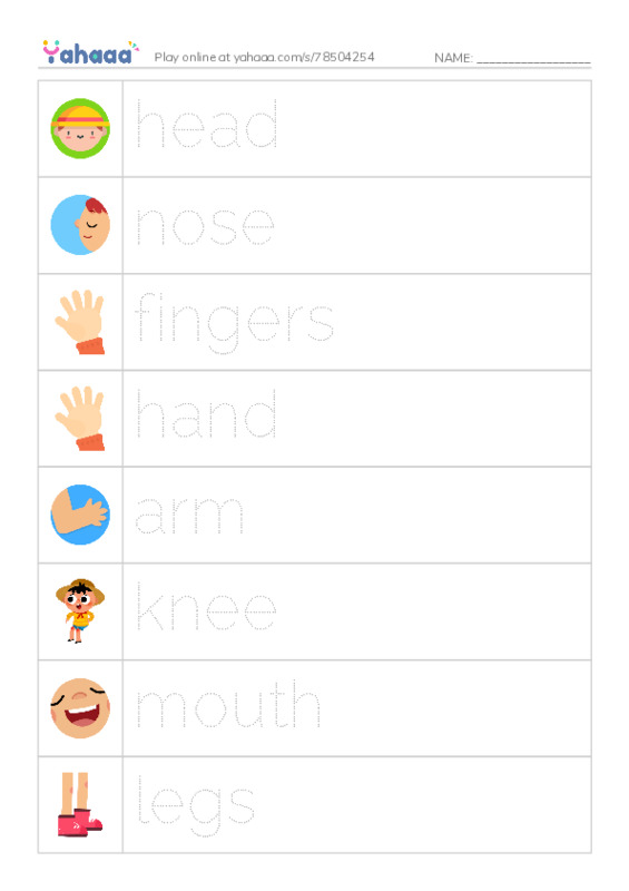 body parts PDF one column image words