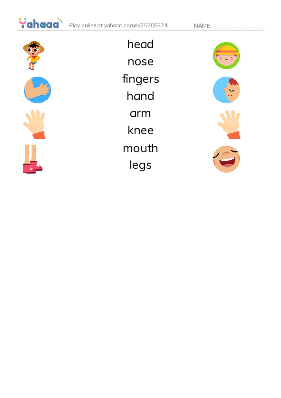 body parts PDF three columns match words