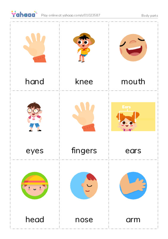 Body parts PDF flaschards with images
